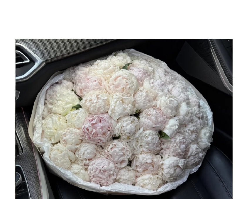 Пионы