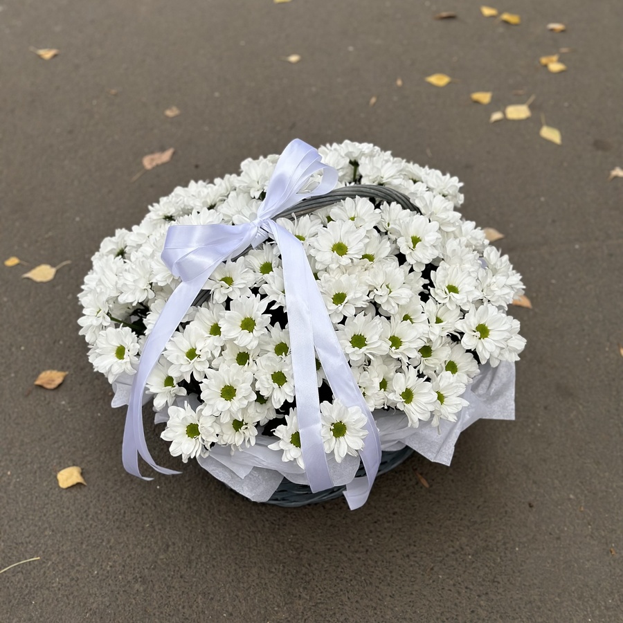 Моно-композиция из ромашковых хризантем