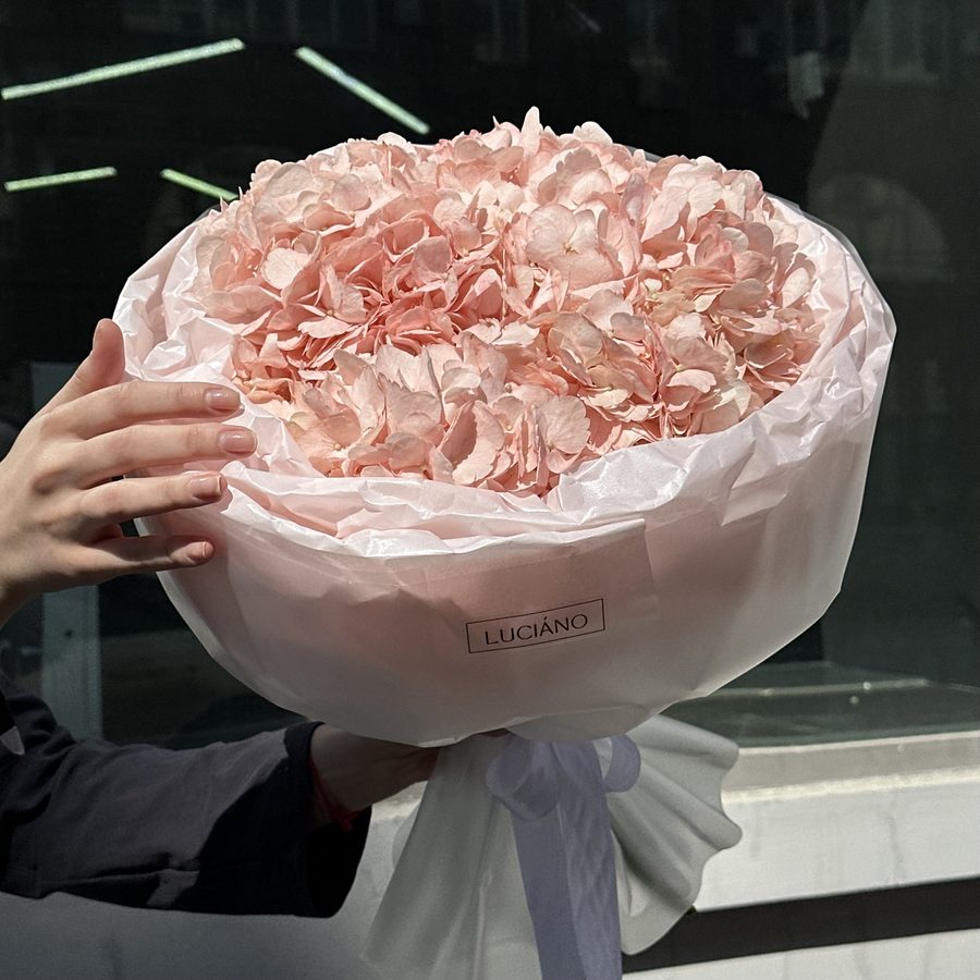 Моно-букет из гортензий - 5 шт