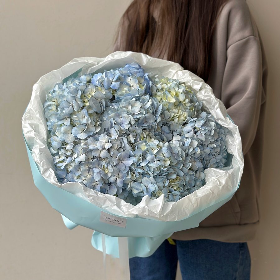 Моно-букет из гортензии - 7 шт