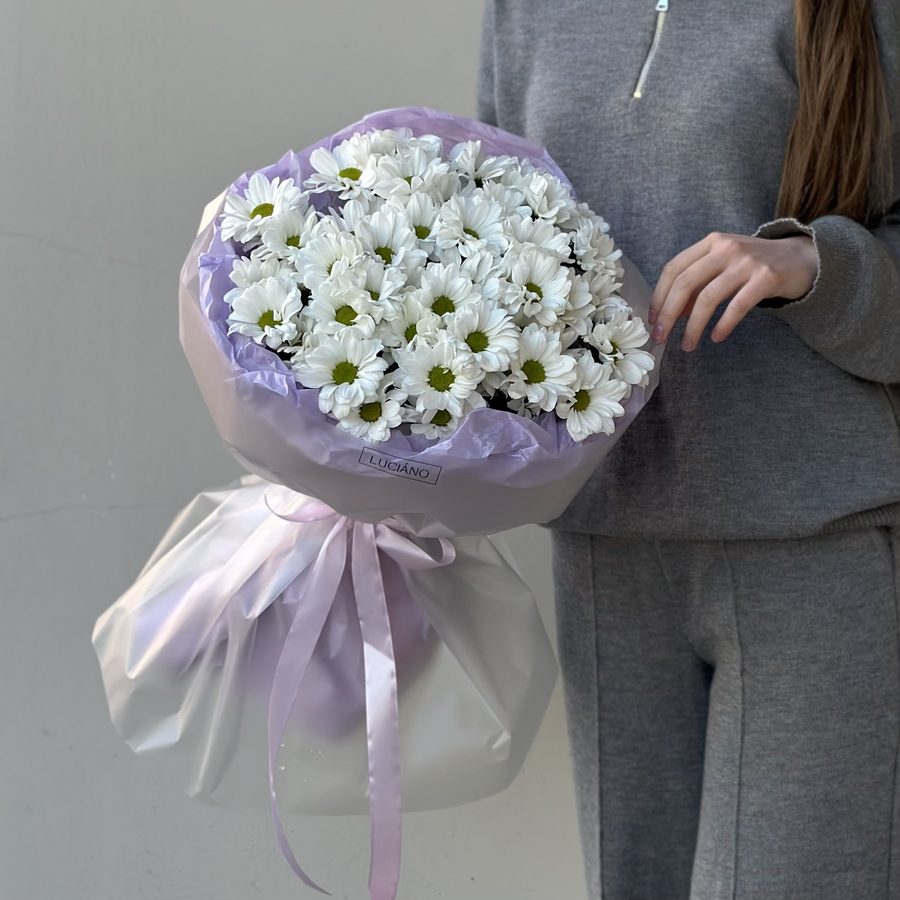 Моно-букет из ромашковых хризантем - 11 шт