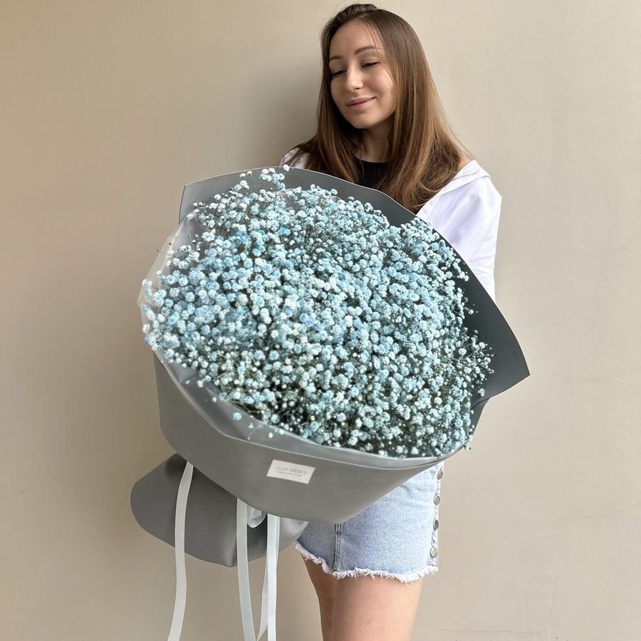 Моно-букет из гипсофилы