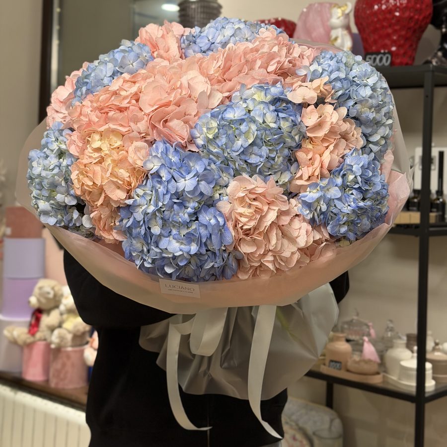 Гортензии 15шт