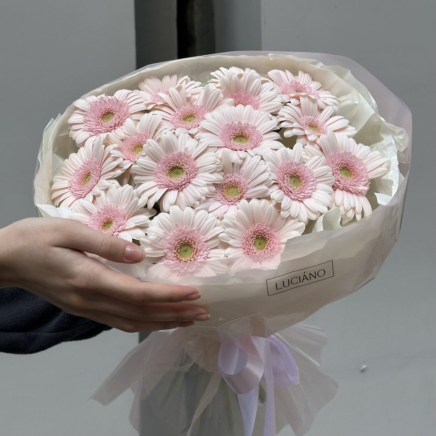 Моно-букет из розовых гермини - 17 шт