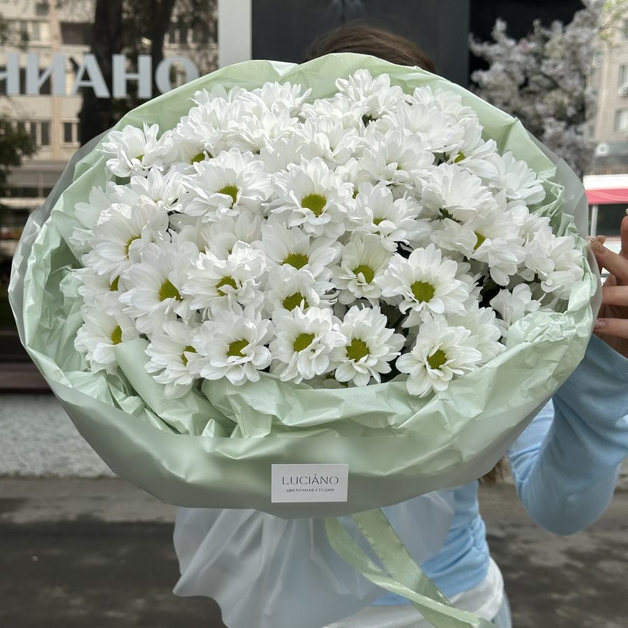 Моно-букет из ромашковых хризантем - 13 шт