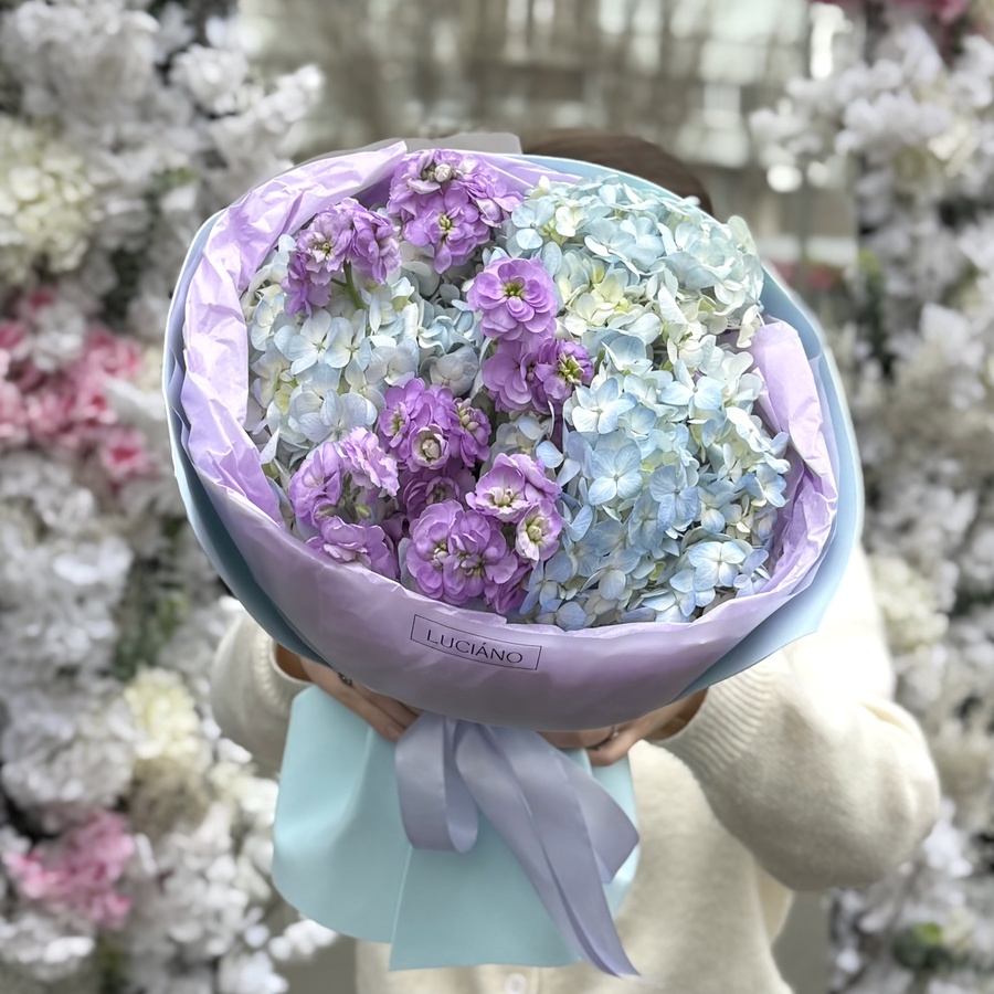 Дуо-букет из гортензий и маттиолы