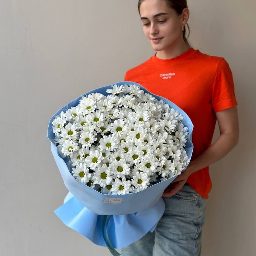 Моно-букет из ромашковых хризантем - 15 шт