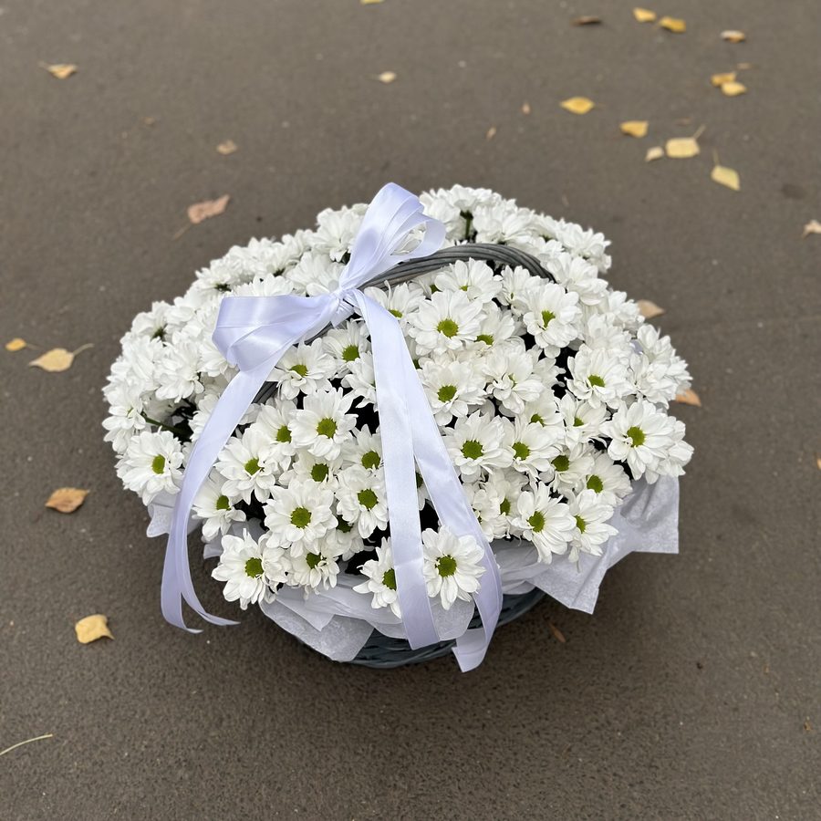 Моно-композиция из ромашковых хризантем