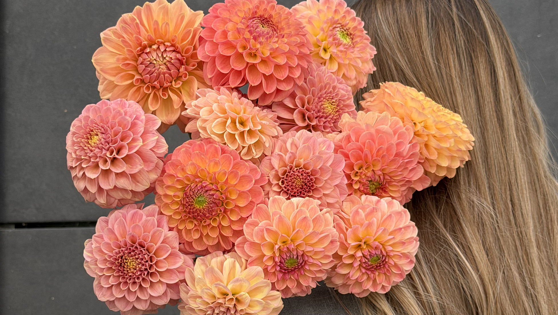 Букет георгинов — Luciano Flowers