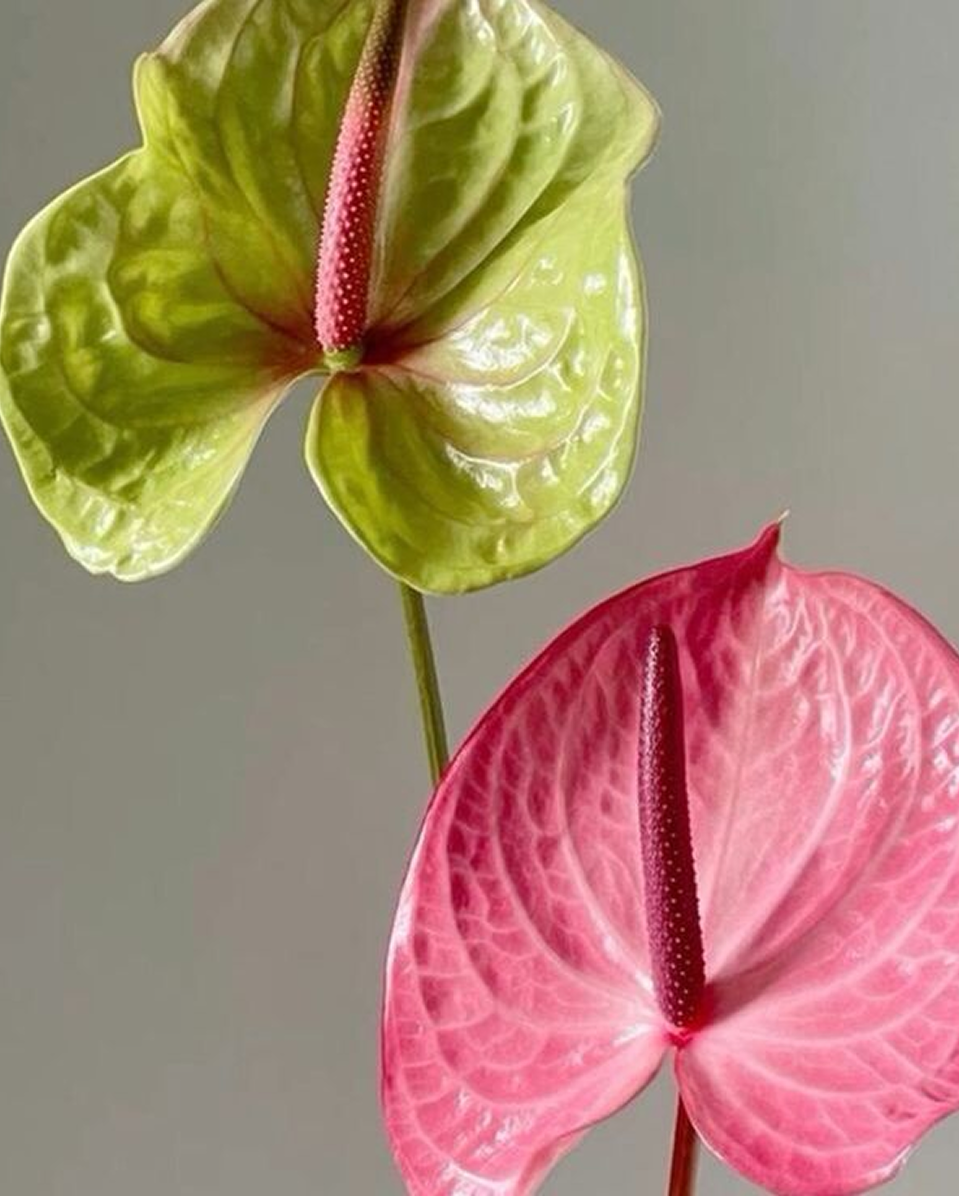 Эффектные букеты